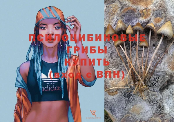 mdma Бородино