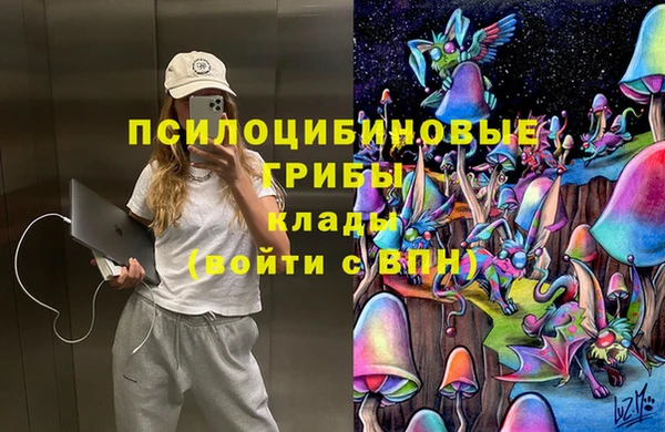 мдпв Богданович